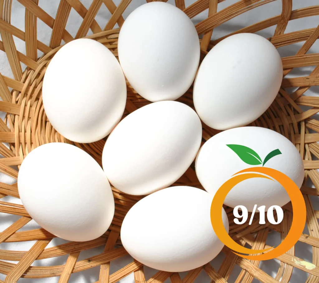 Egg-A-Deep-Dive-into-Its-Nutritional-Powerhouse