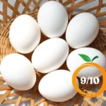 Egg-A-Deep-Dive-into-Its-Nutritional-Powerhouse