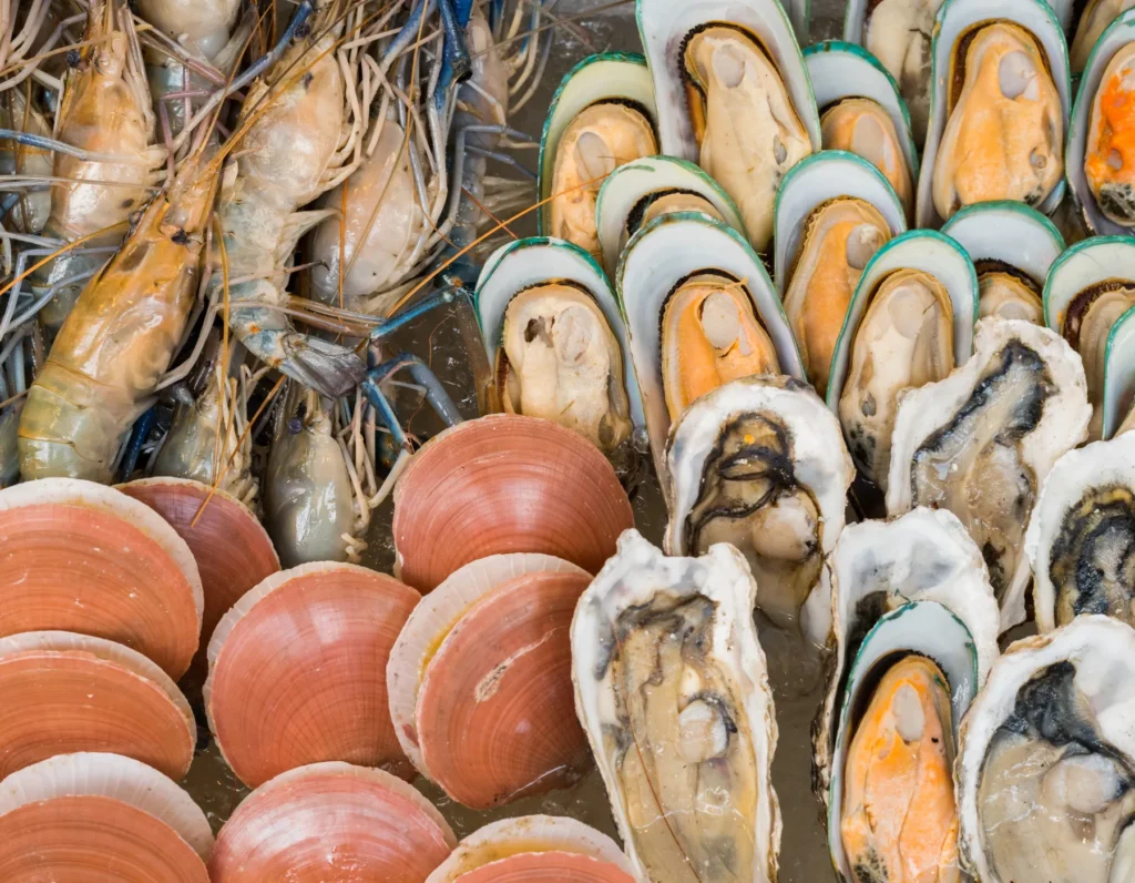 Shellfish (Heme Iron)